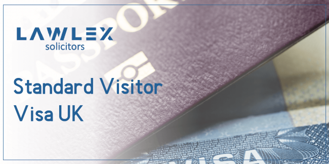 ვიზიტორის ვიზა