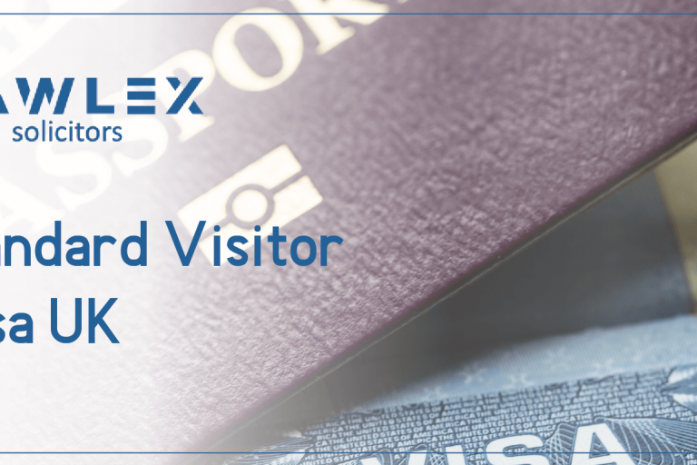 ვიზიტორის ვიზა